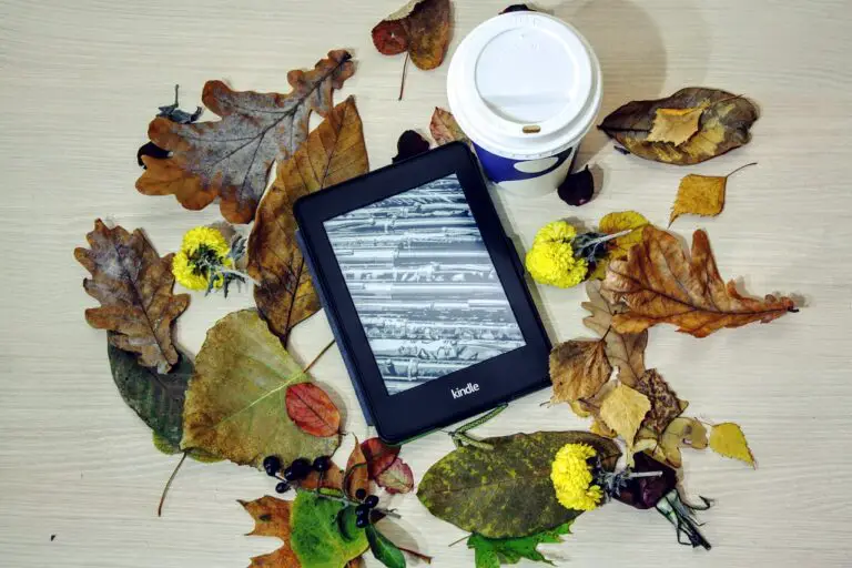 autumn leaves and your kindle on a wooden table with a cup, books, and leaves, in the style of kodak elite chrome extra color, marble, sgrafitto, fairycore, bold, black lines, nature-inspired installations, dark sky-blue and white