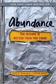 Abundance book cover