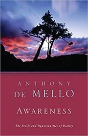 Awareness book cover