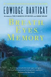 Breath, Eyes, Memory book cover