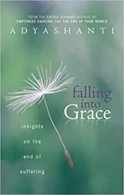 Falling into Grace book cover
