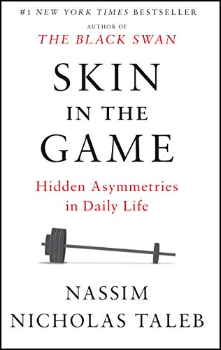 Skin in the Game book cover