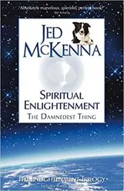 Spiritual Enlightenment, the Damnedest Thing book cover