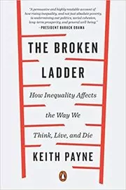 The Broken Ladder book cover