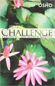 The Great Challenge book cover