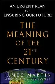 The Meaning of the 21st Century book cover