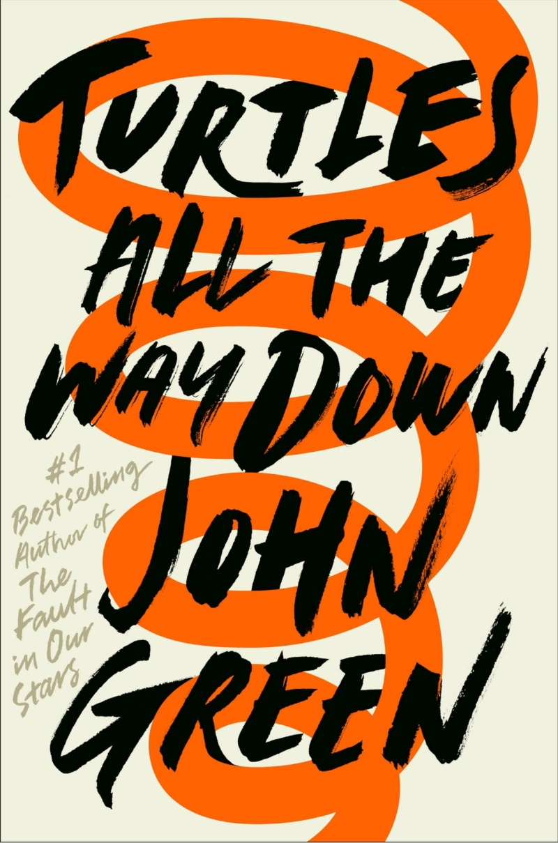 Turtles All the Way Down book cover