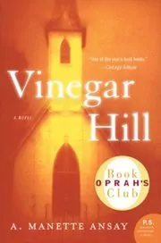 Vinegar Hill book cover