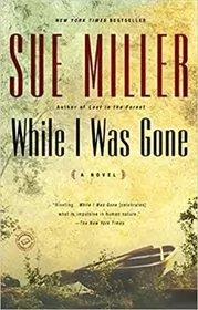While I Was Gone book cover